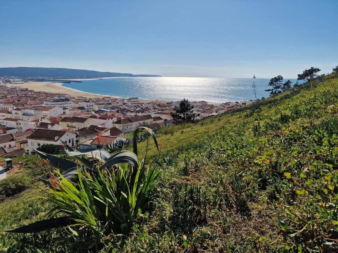 Lucas House Villa Nazaré Eksteriør billede